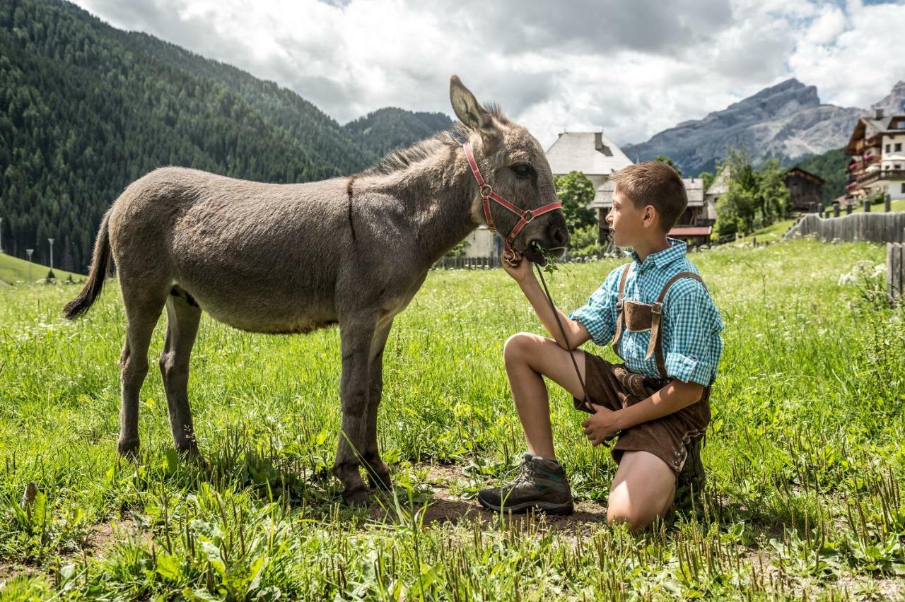 Natur Luch Sossach La Villa  Exterior foto
